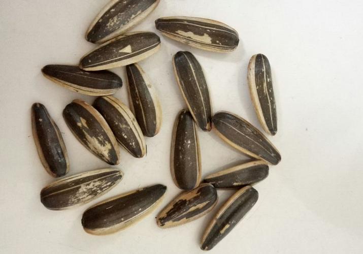 干果伴唱，能量续航——唱K飙歌的营养智慧